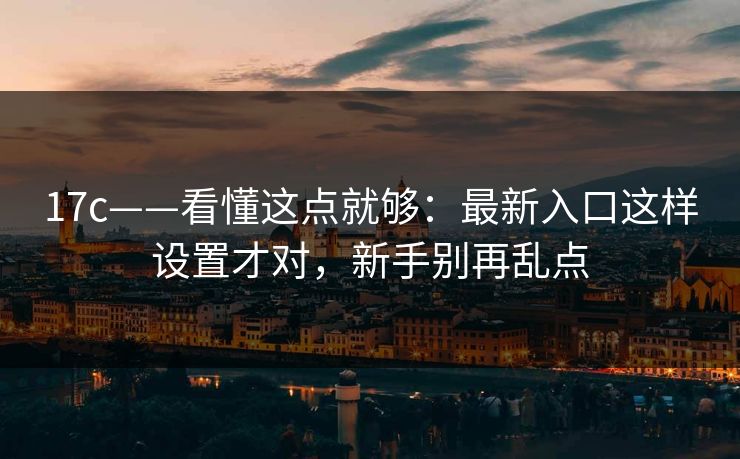 17c——看懂这点就够：最新入口这样设置才对，新手别再乱点